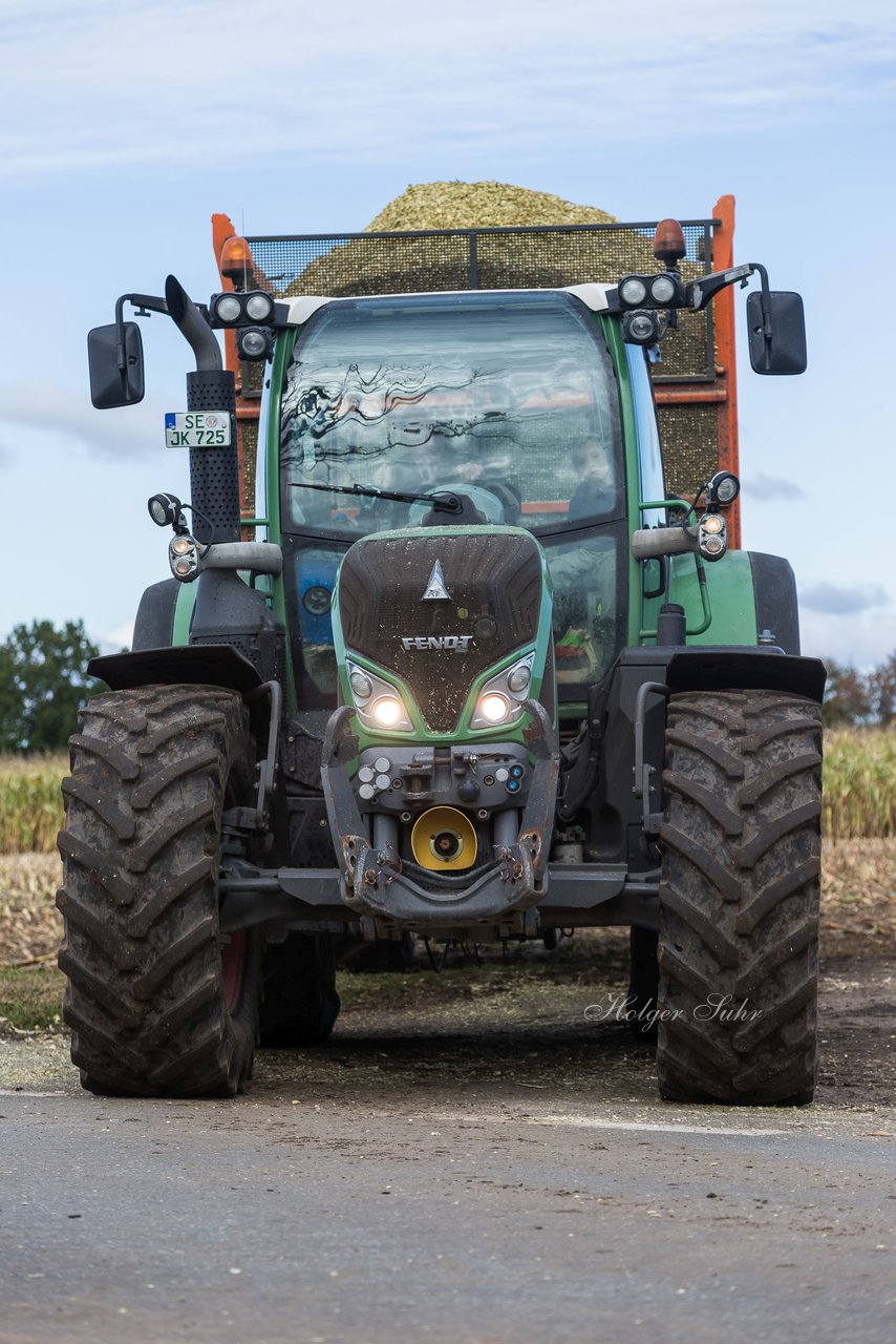 Bild 138 - Maisernte